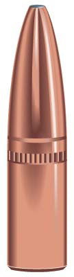 Speer 1643 Rifle Hunting Grand Slam Bullets, 284-175-GR SP, 50 Ct