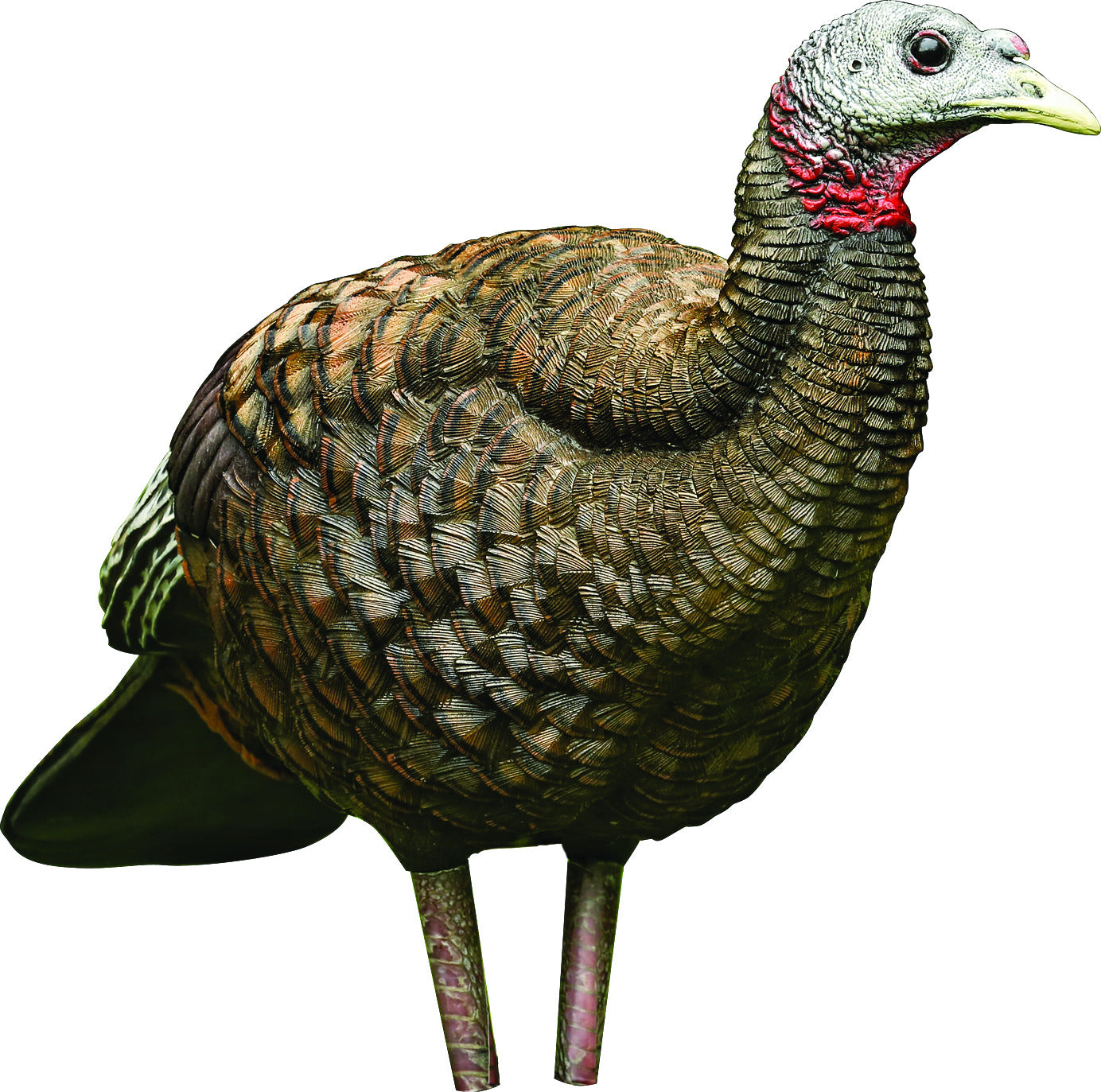 Avian-X LCD Breeder Hen Decoy