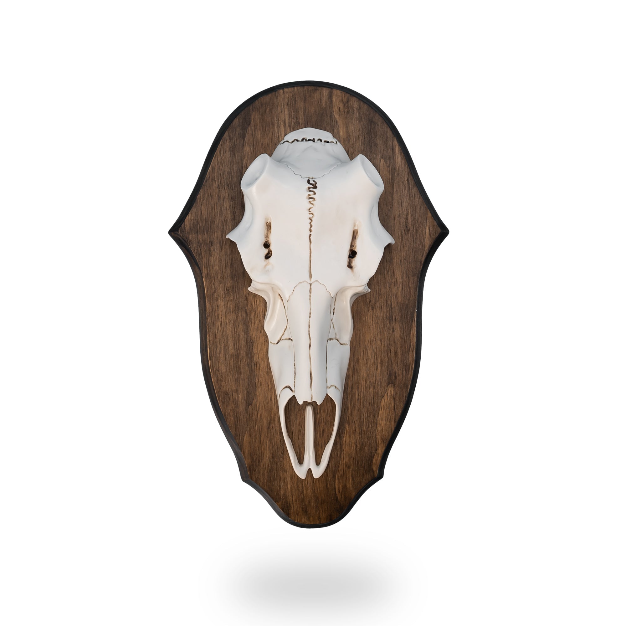 Illusion Systems Black Forest Natural Causes antler mounting kit