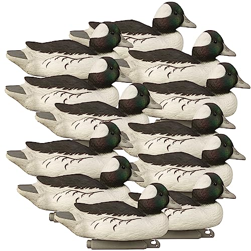 Higdon Standard Bufflehead Drake Duck Decoys