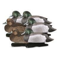 AVERY OVER-SIZE BLUE-BILLS 6PK FOAM FILLED