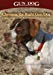 CHOOSING THE RIGHT GUN DOG