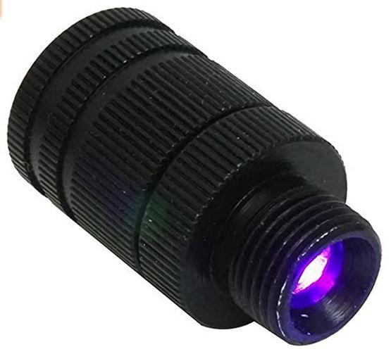 COPPER JOHN DEAD NUTS SIGHT LIGHT