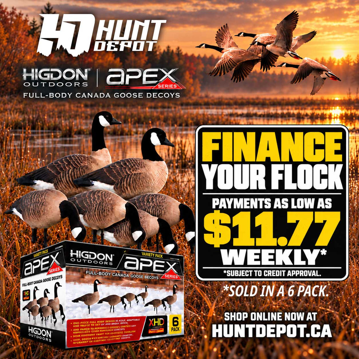 Higdon APEX Full-Size Full-Body-Canada Variety Pack B