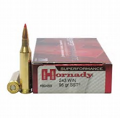 HORNADY SUPERFORMANCE 243 WIN 95GR SST