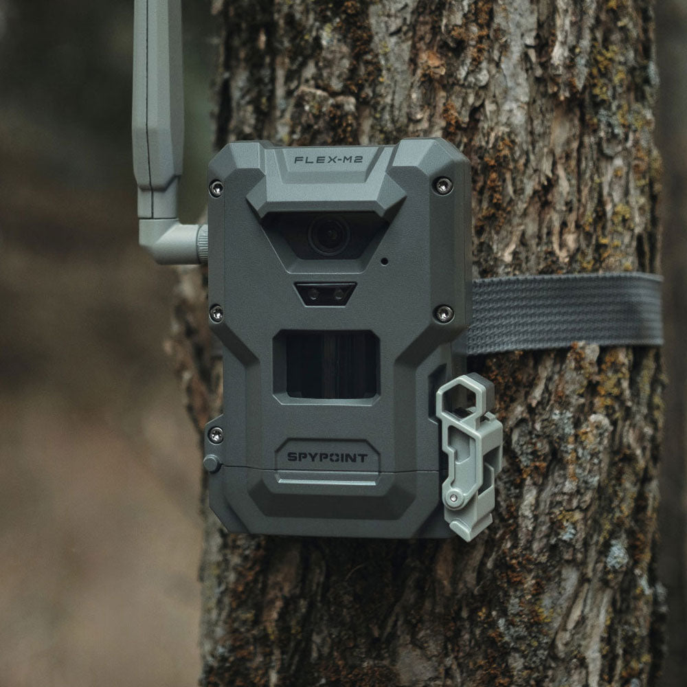 Spypoint FLEX-M2 Cellular Trail Camera