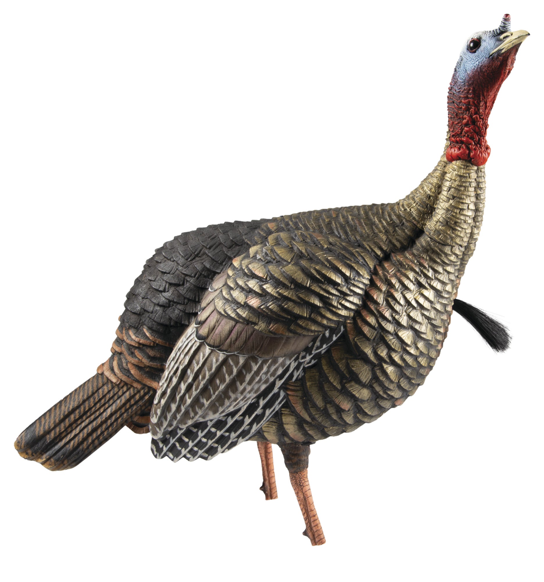 Avian X HDR Jake Decoy AVX-AVX8105 Color: Black