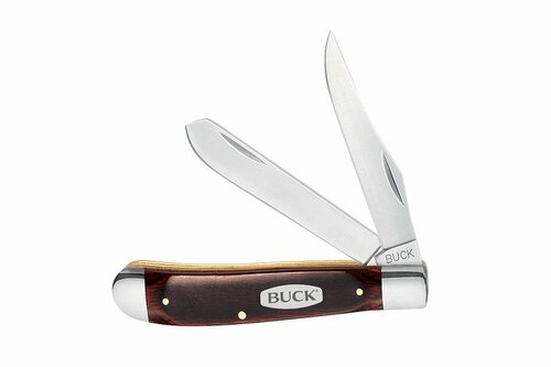 Buck Knives Brown 420J2 Stainless Steel 3.5 in. Pocket Knife