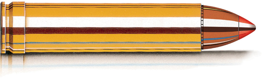Hornady .450 Marlin Ammunition, 20 Rounds, FTX, 325 Grains LEVERevolution