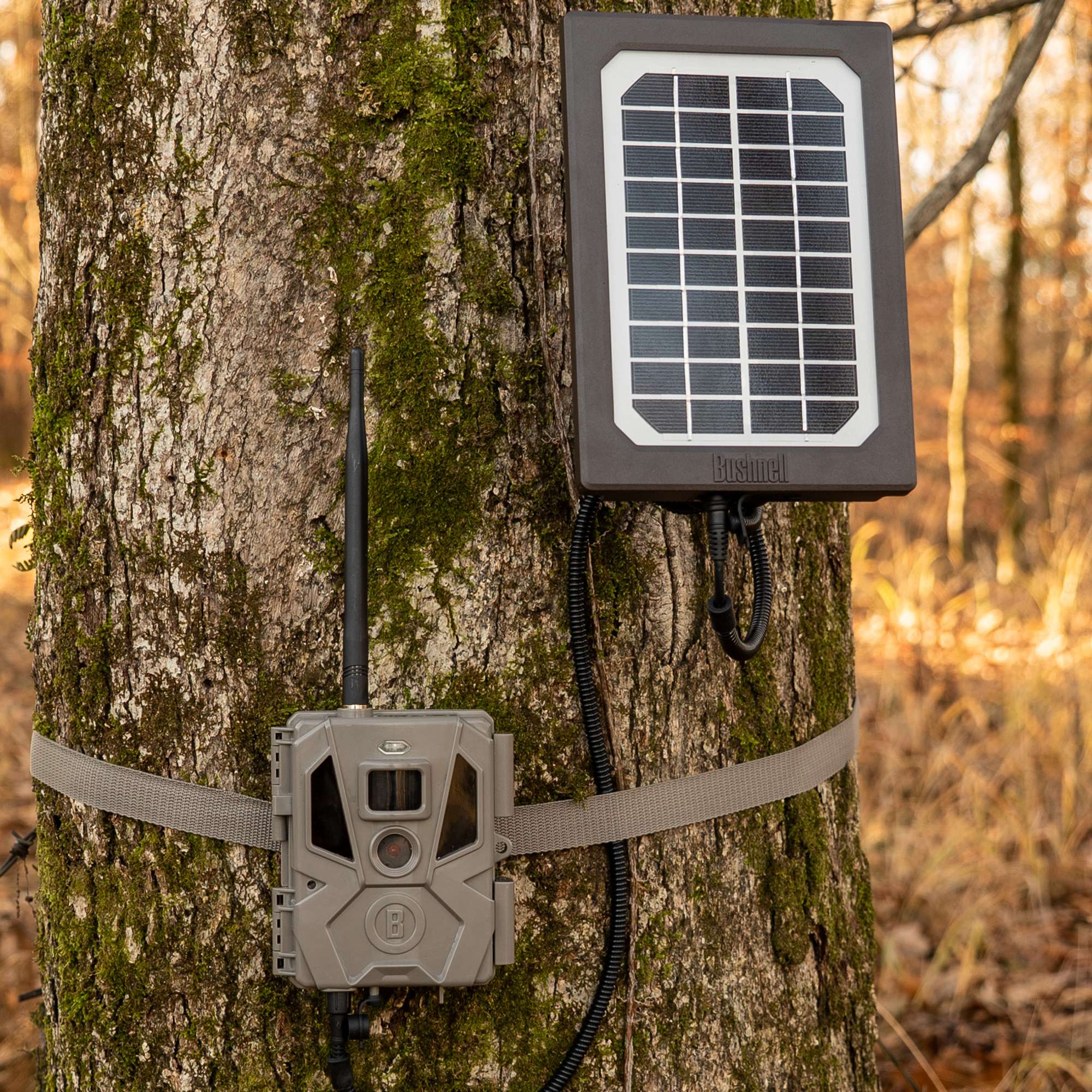 Bushnell Trail Camera Solar Panel