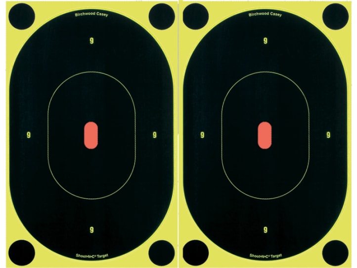 Birchwood Casey Shoot-N-C 7" Oval B24 Target