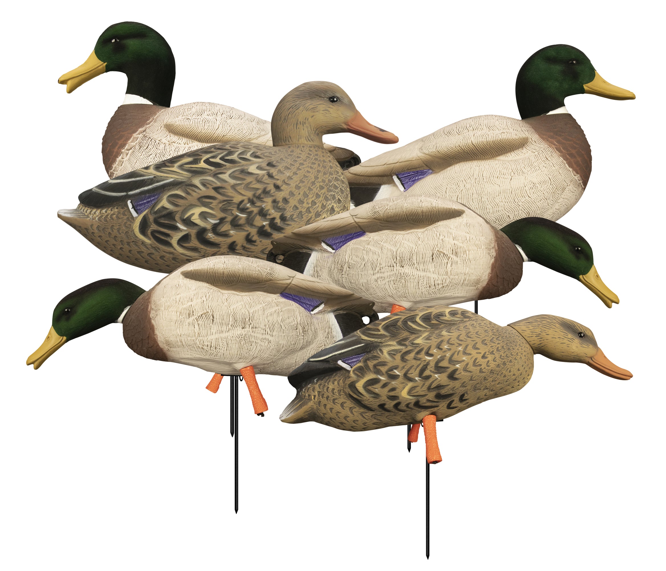 Higdon Magnum Full Body Field Mallard, 6 Pack