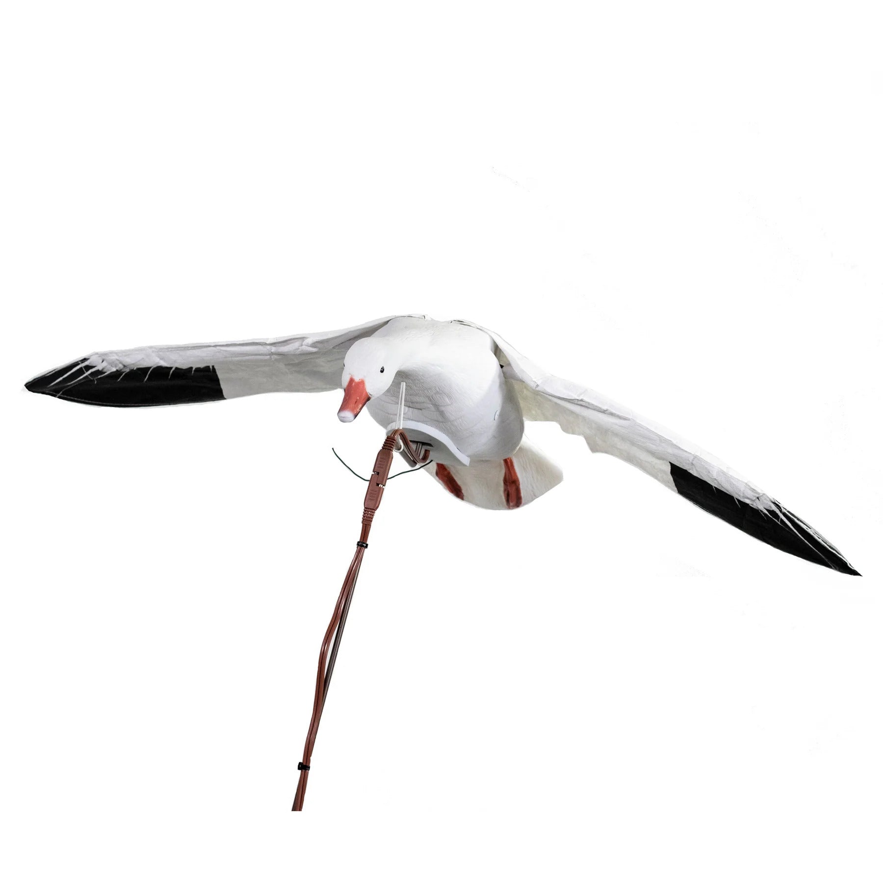 Higdon Clone Clone Snow Goose