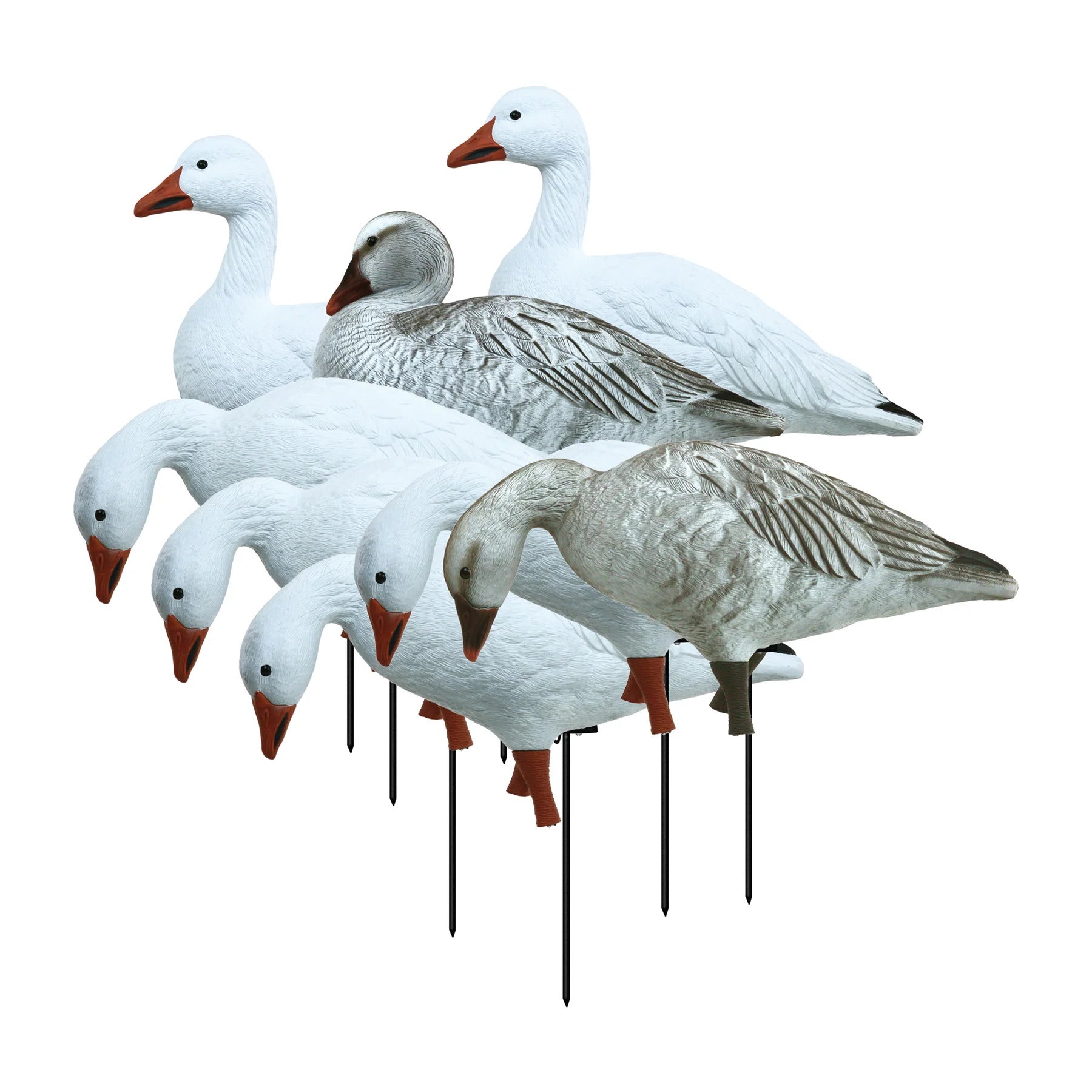 Higdon APEX Full-Size Full-Body Variety Pk, Snow/Juvenile (8pk)