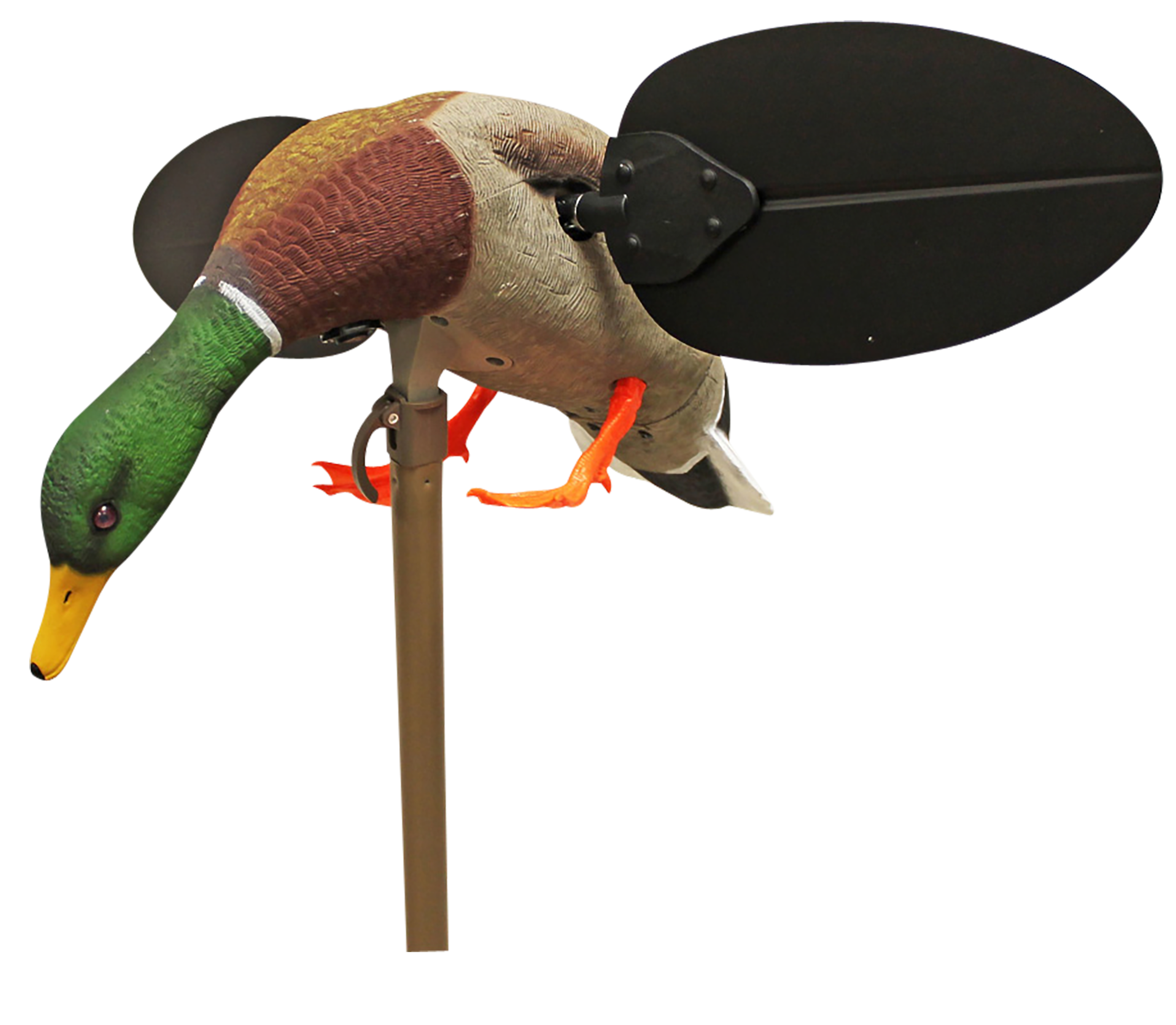 MOJO Mallard Drake Elite Spinning-Wing Decoy with Remote