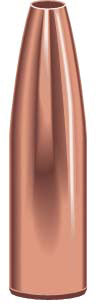 Varmint Hollow Point Bullets