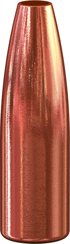 Varmint Hollow Point Bullets