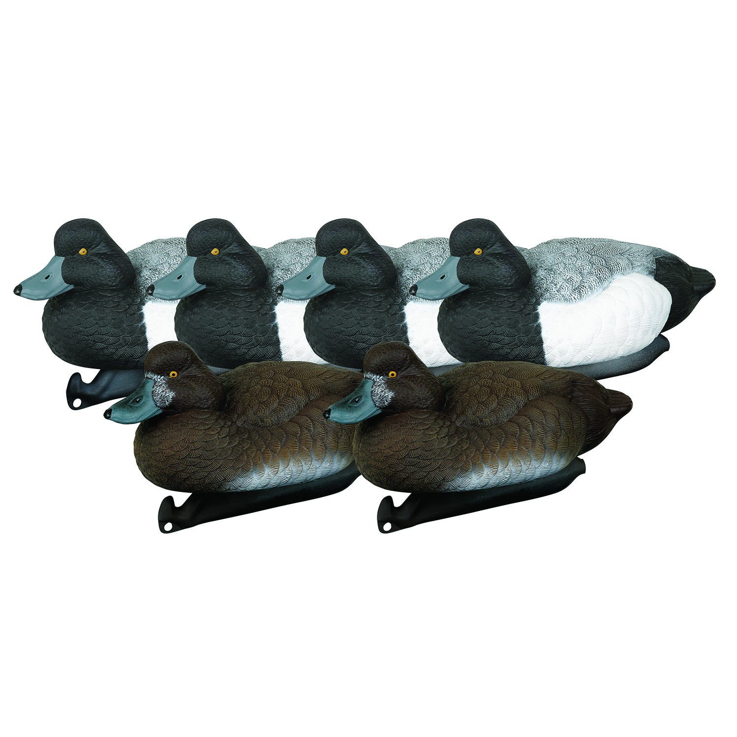 Masters Series Blue Bill