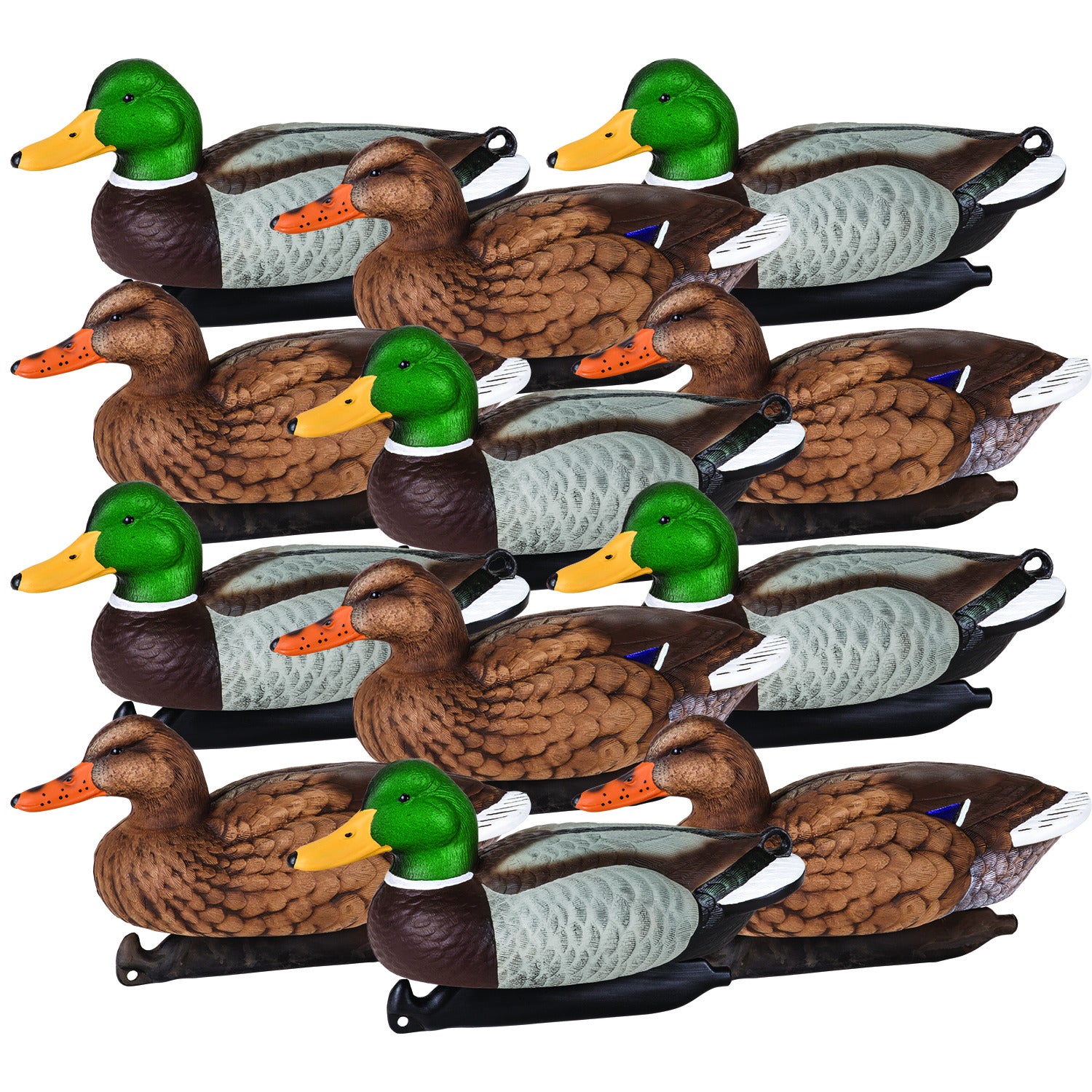 Flambeau 1812DPK Master Series Decoys, Mallards, Floaters, 12 pk