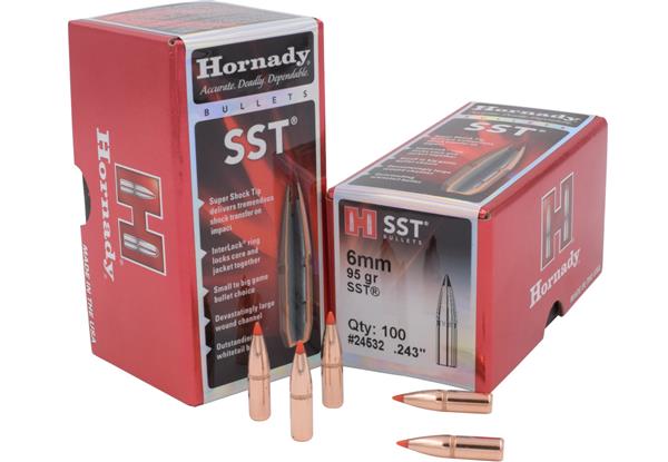 Hornady .243 DIA 95GR SST