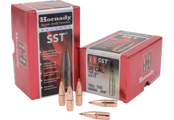Hornady .308 DIA 165GR SST