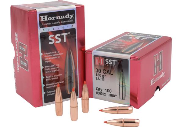 Hornady .308 DIA 180GR SST
