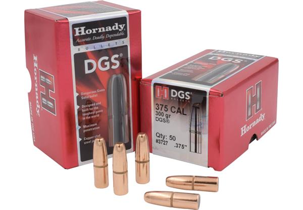 Hornady .375 DIA 300GR DGS