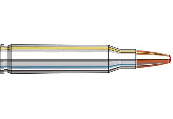 Hornady 223 REM 73GR FTX