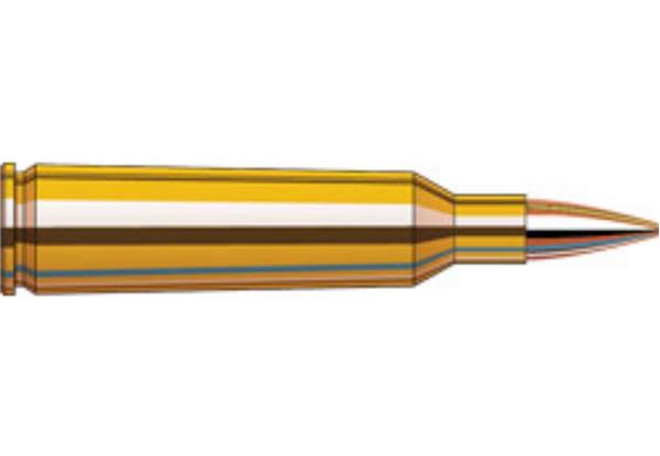 Hornady 223 REM 75GR BTHP MATCH SUPERFORMANCE