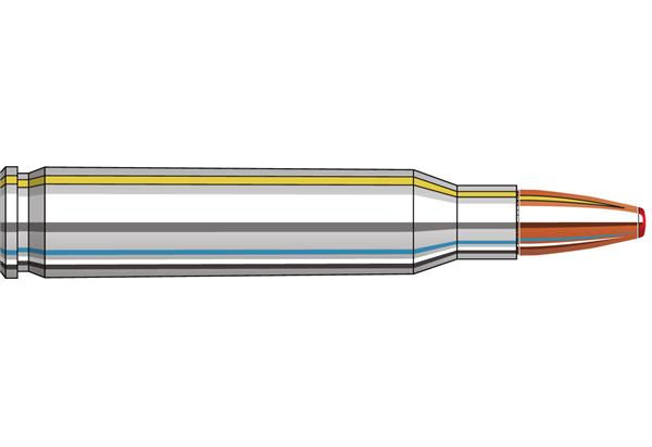 Hornady 223 REM 55GR FTX