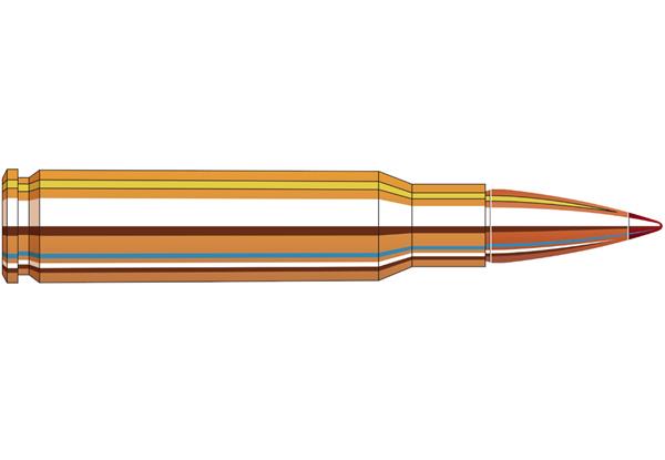 Hornady 308 WIN 165GR CX SPF AMMO