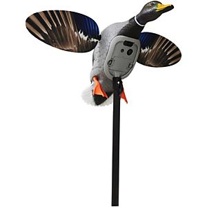 MOJO Elite Series King Mallard Spinning-Wing Decoy