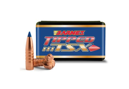 BARNES 450 CAL TTSX BT 250 gr