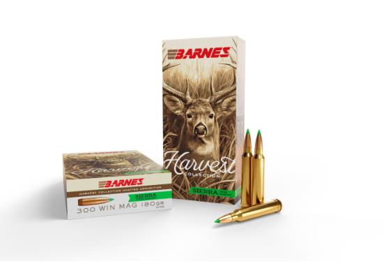 BARNES Ammunition SIERRA TIPPED GAMEKING 300 WIN MAG 180 gr (20)