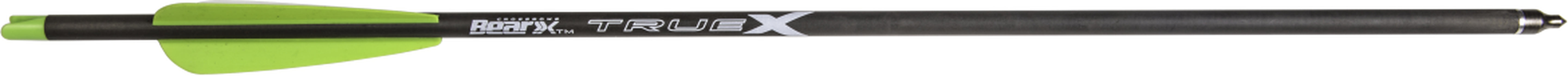 BEAR X - CROSSBOW BOLTS 20 (6PK)