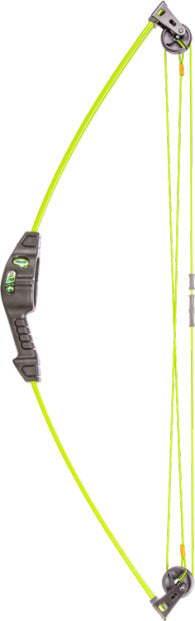 Bear Archery Spark Youth Archery Bow Set