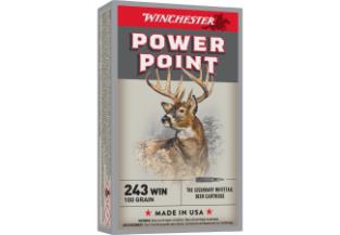 WINCHESTER Ammunition 243 WIN POWER-POINT 100 gr