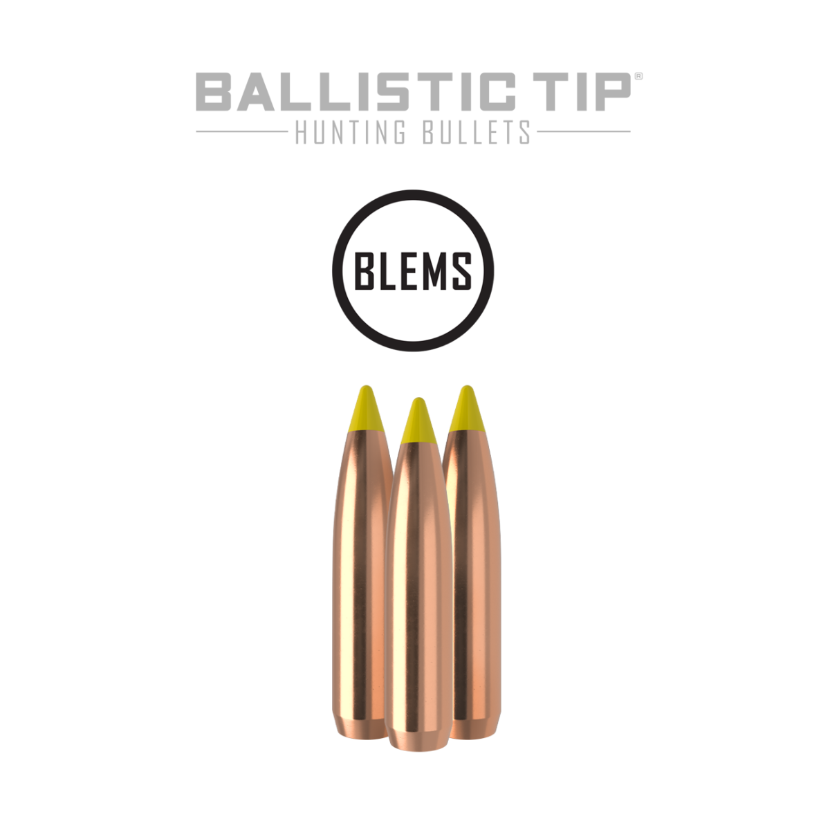 Nosler 270 Caliber 170gr Ballistic Tip product image