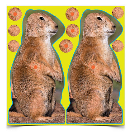Birchwood Casey Shoot-N-C Prairie Chuck Target – 12 Pack