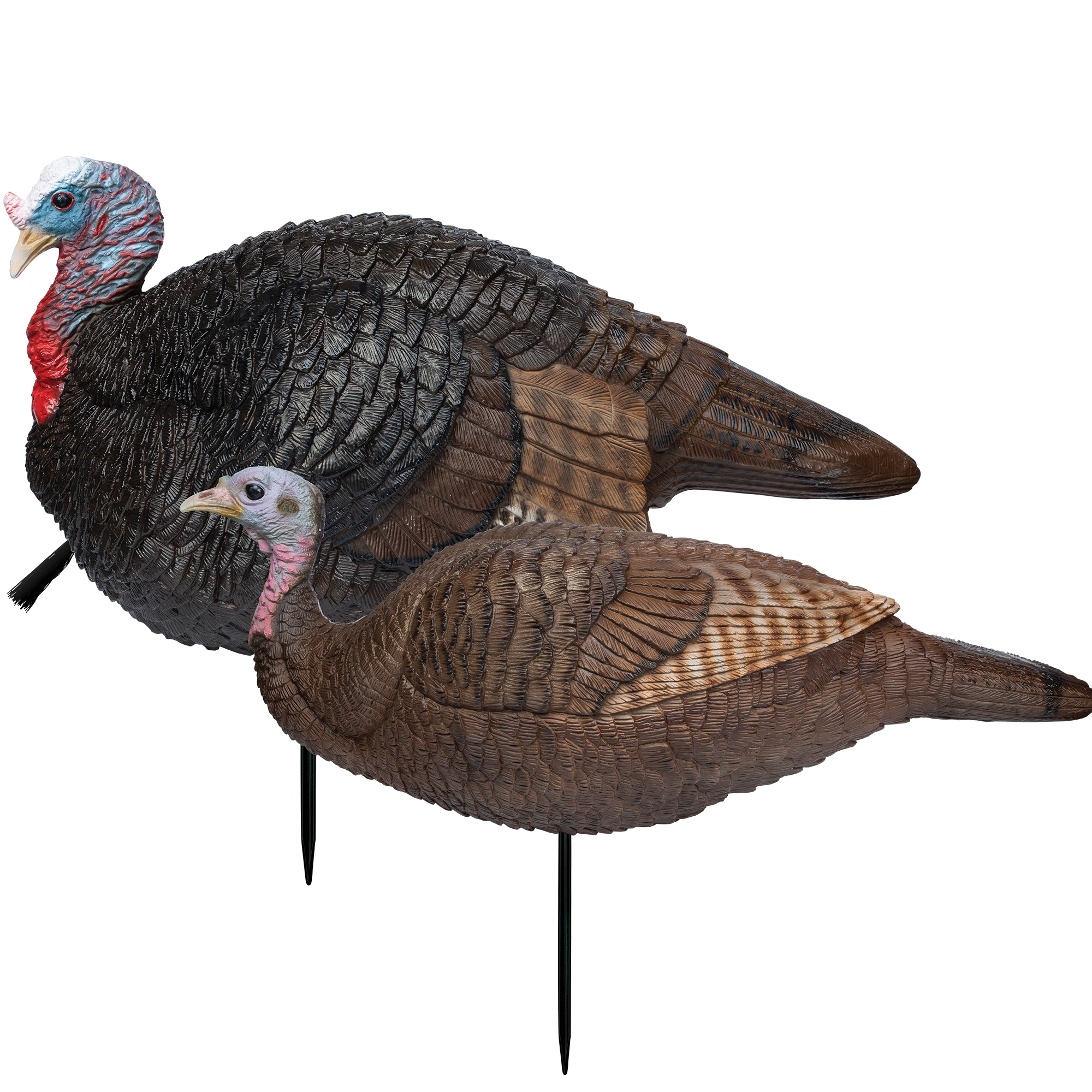Primos Lil Gobstopper Hen (Only)