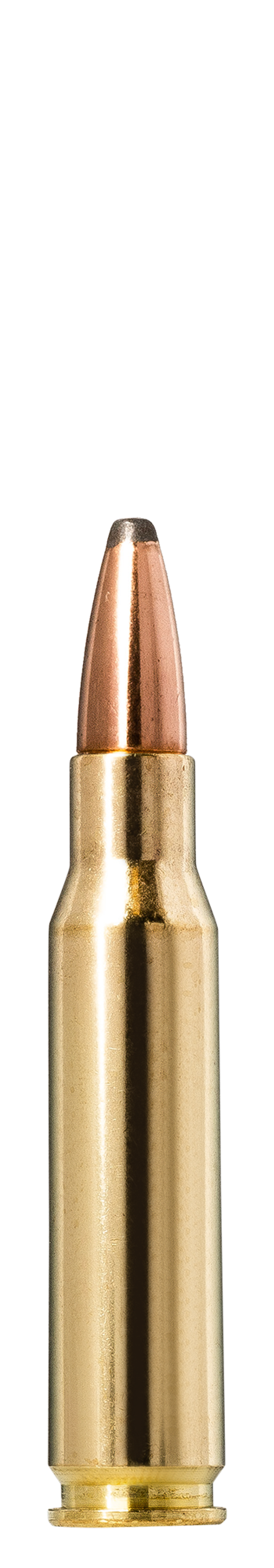 NORMA WHITETAIL 308 WIN 150GR AMMO product image