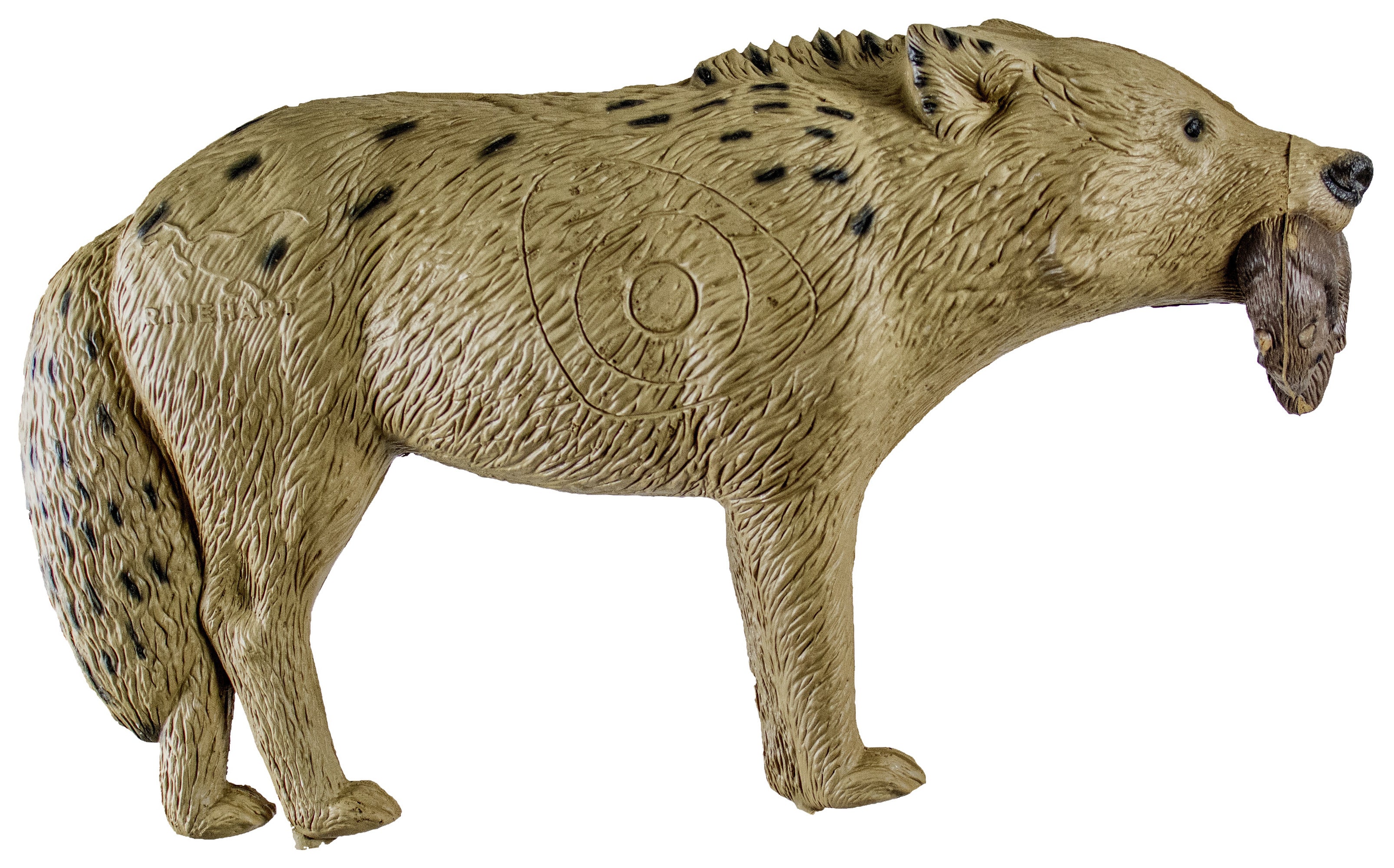 29" X 16" in. Rinehart Signature Coyote 3D Archery Target