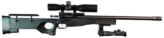 Crickett Precision Rifle Package .22 LR – Black, Blued