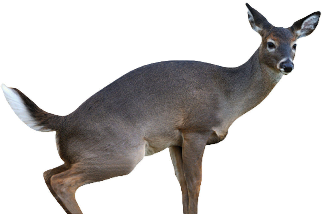 Montana Decoys 0045 Whitetail Doe Decoy