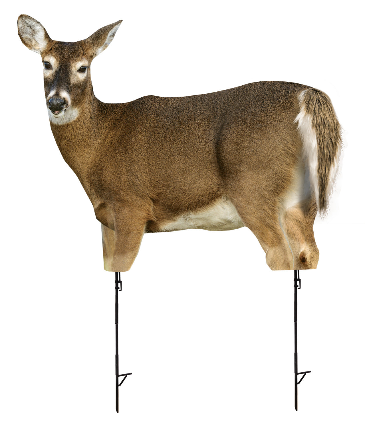 Montana Decoys 0053 Trixie Whitetail Doe Decoy