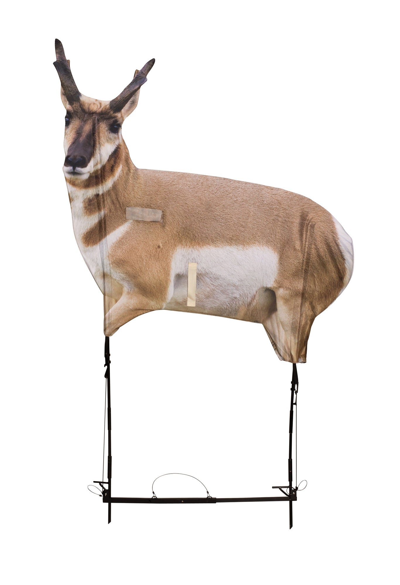 Montana Decoys 0052 Eichier Antelope Decoy With Quick Stand