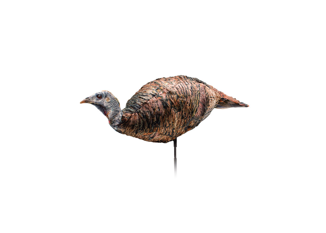 Montana Decoys 0084 Miss Purr-Fect 3D Hen Turkey Decoy