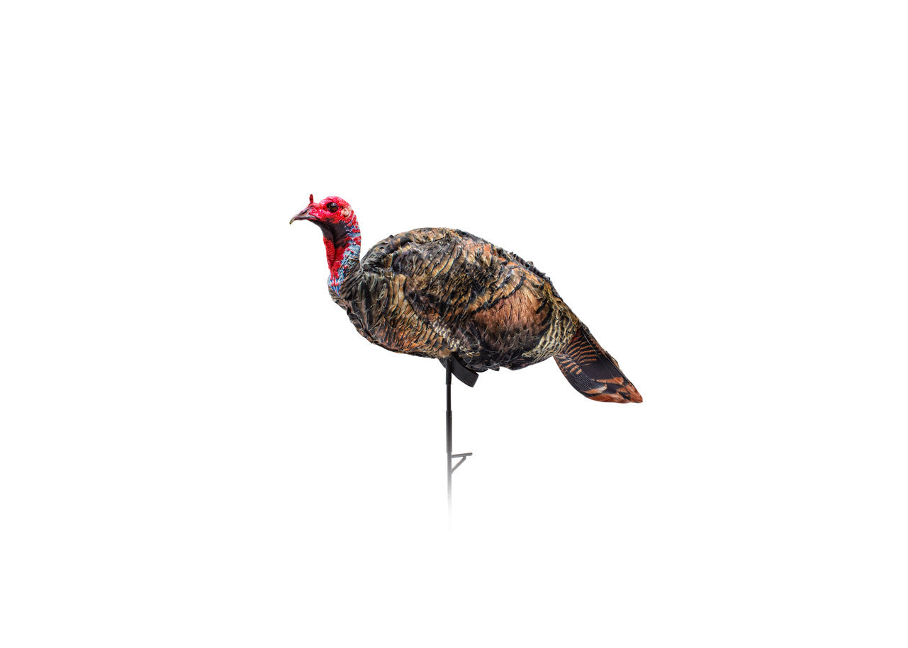 Montana Decoys 0085 Purr-Fect Jake Turkey Decoy