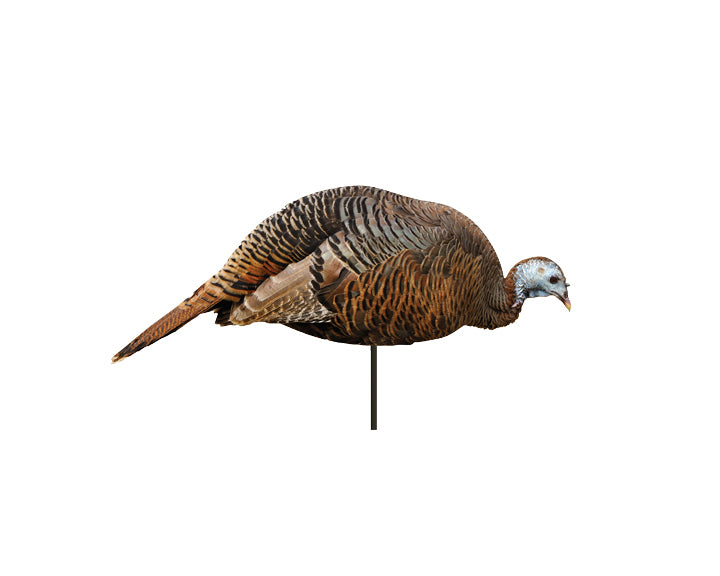Montana Decoys 0043 One Dimensional Quick Set Up Hen Turkey Decoy
