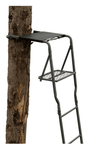 Altan Hunter’s Top View Ladder Tree Stand